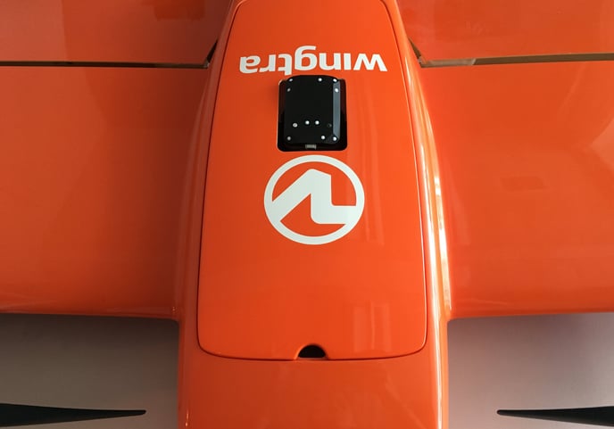 Altum_cover
