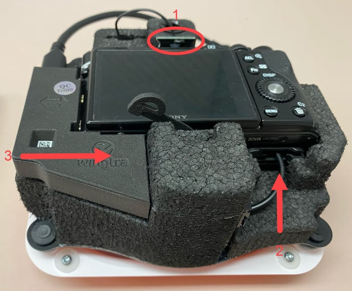plug RX1 connectors 2