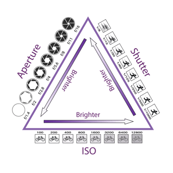 RX1: General Information Guide